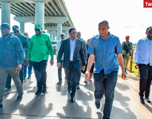 Tanzania Completes JP Magufuli Bridge Across Lake Victoria, Longest in East and Central Africa