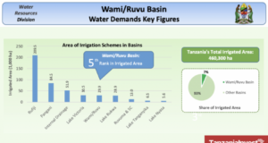 Coca-Cola Invests USD 1.94 Million In Ruvu Basin Restoration To Strengthen Water Supply For Dar es Salaam